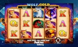 PlayAmo - Wolf Gold Online Pokies